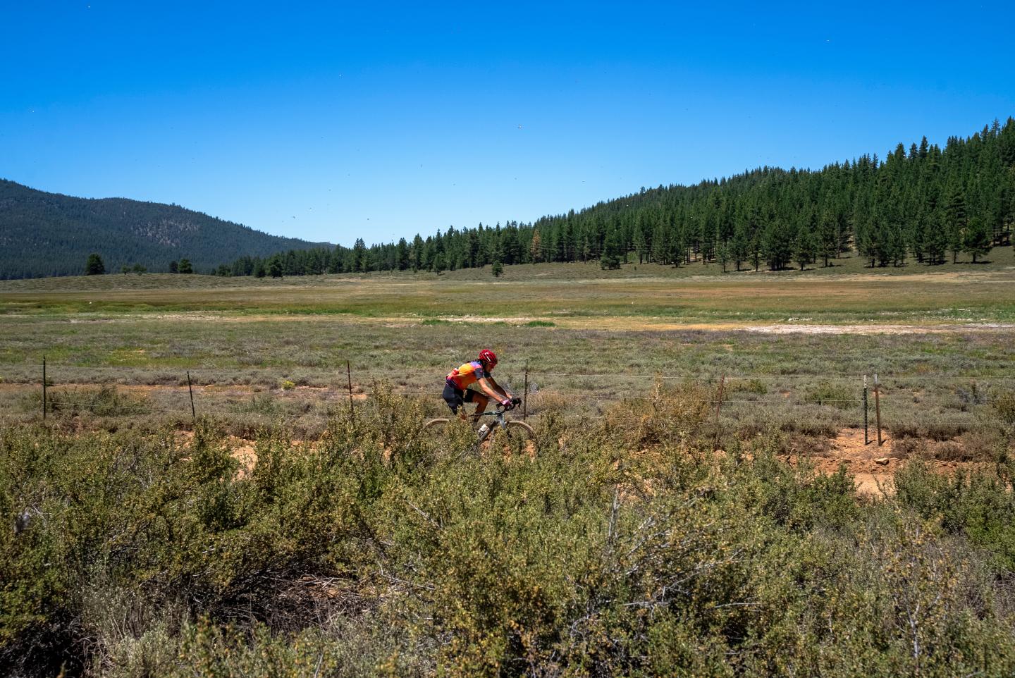 Cyclist on grassy field under clear blue sky.