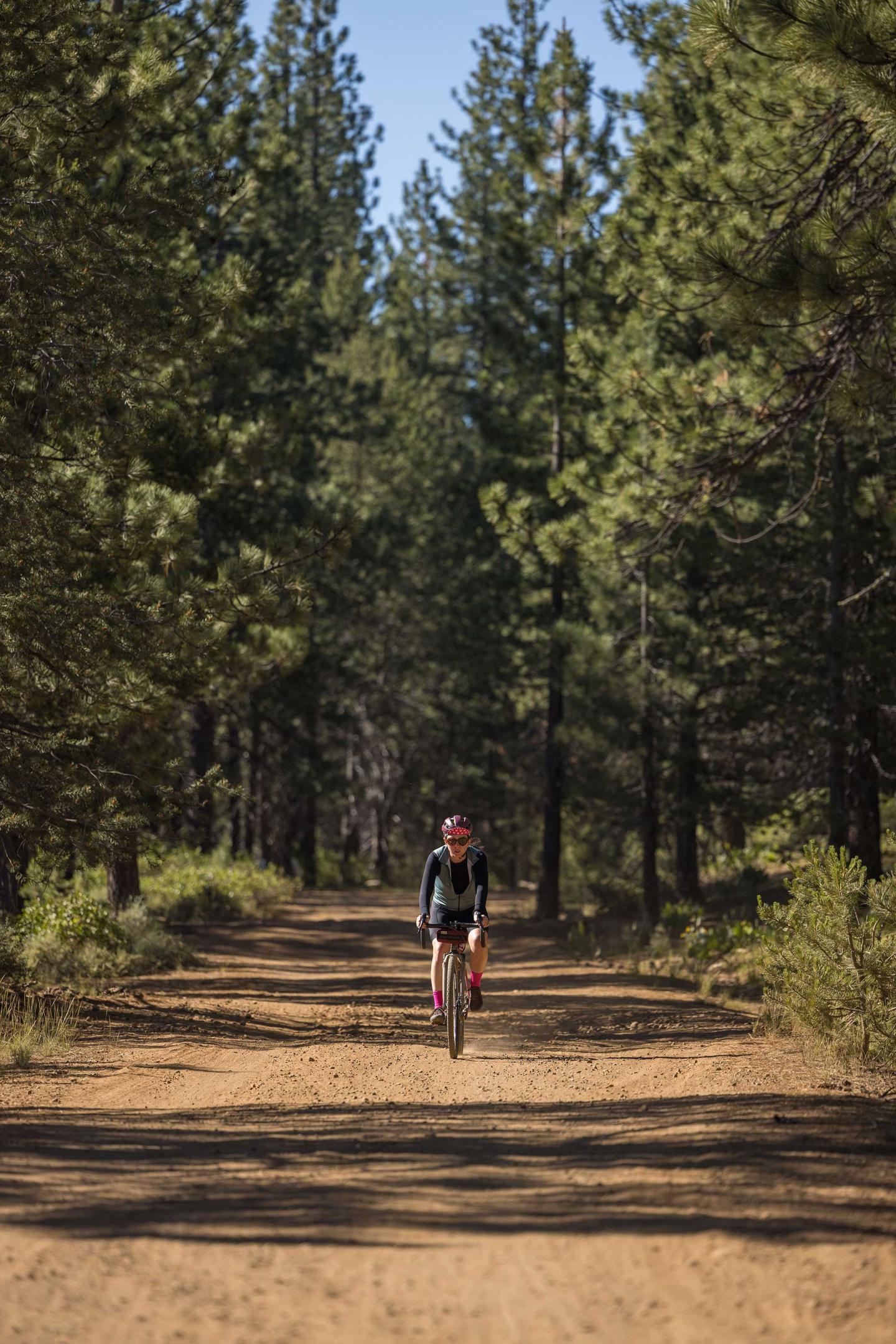 Cyclist on a dirt path surrounded by tall pine trees.