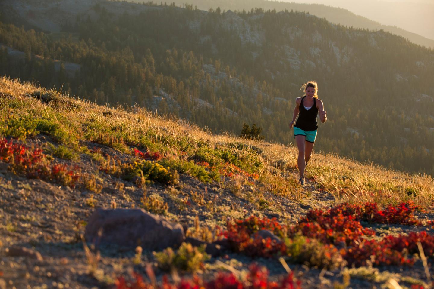 Person jogging on a hillside at sunset, surrounded by vibrant foliage.