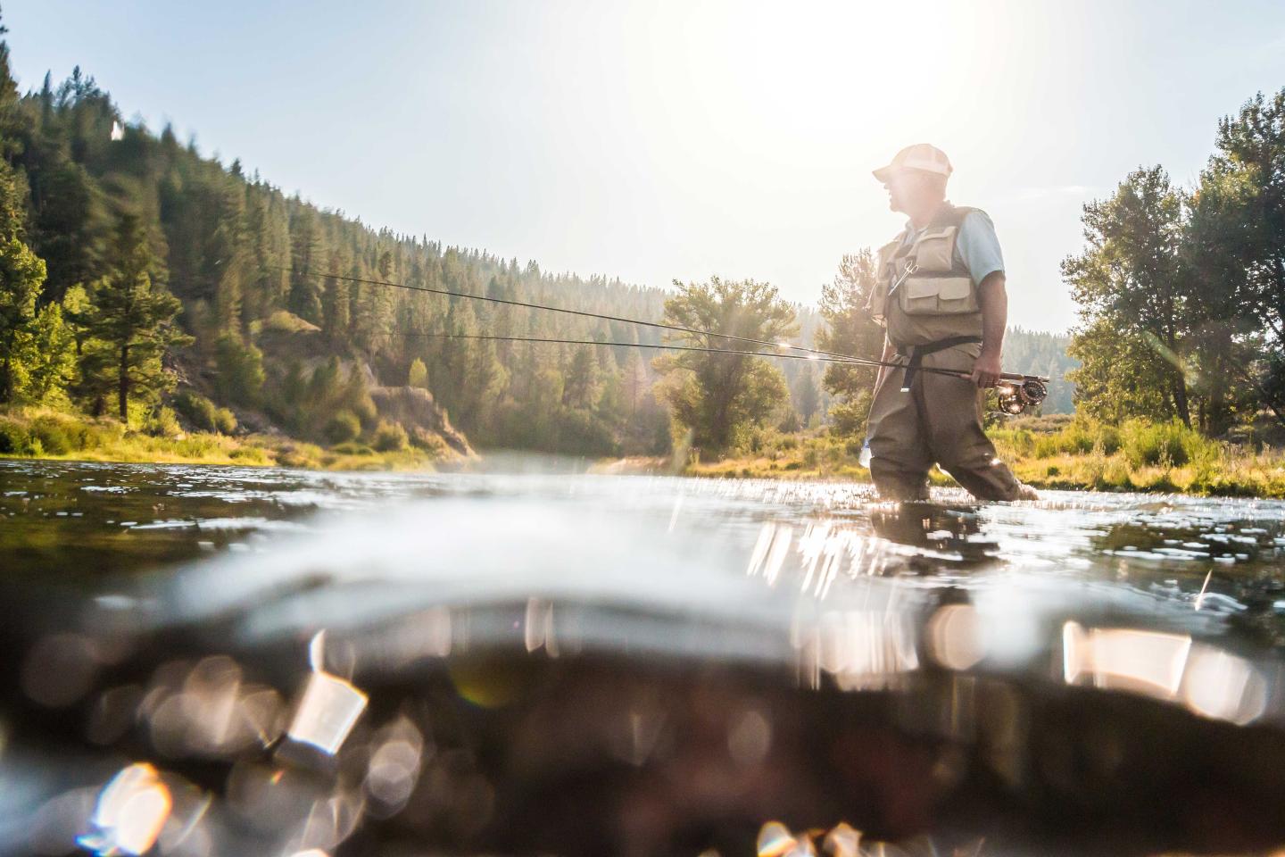 Man fly fishing in a river, surrounded by trees, with sunlight overhead.