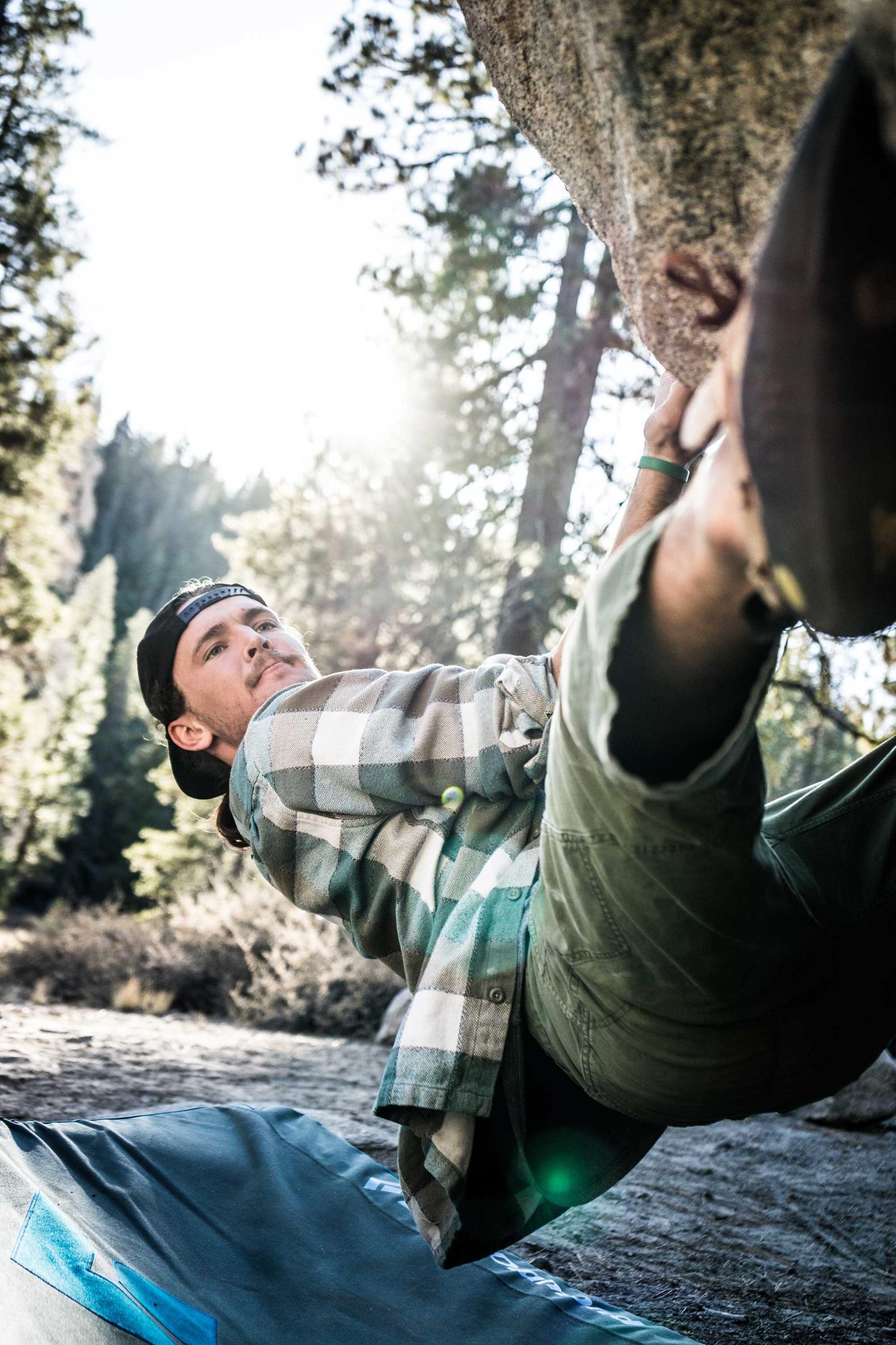 Man climbing a tree with focus and determination in a sunlit forest.
