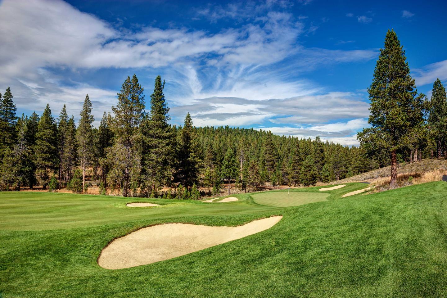 Golf course with sand trap, surrounded by pine trees under a blue sky.