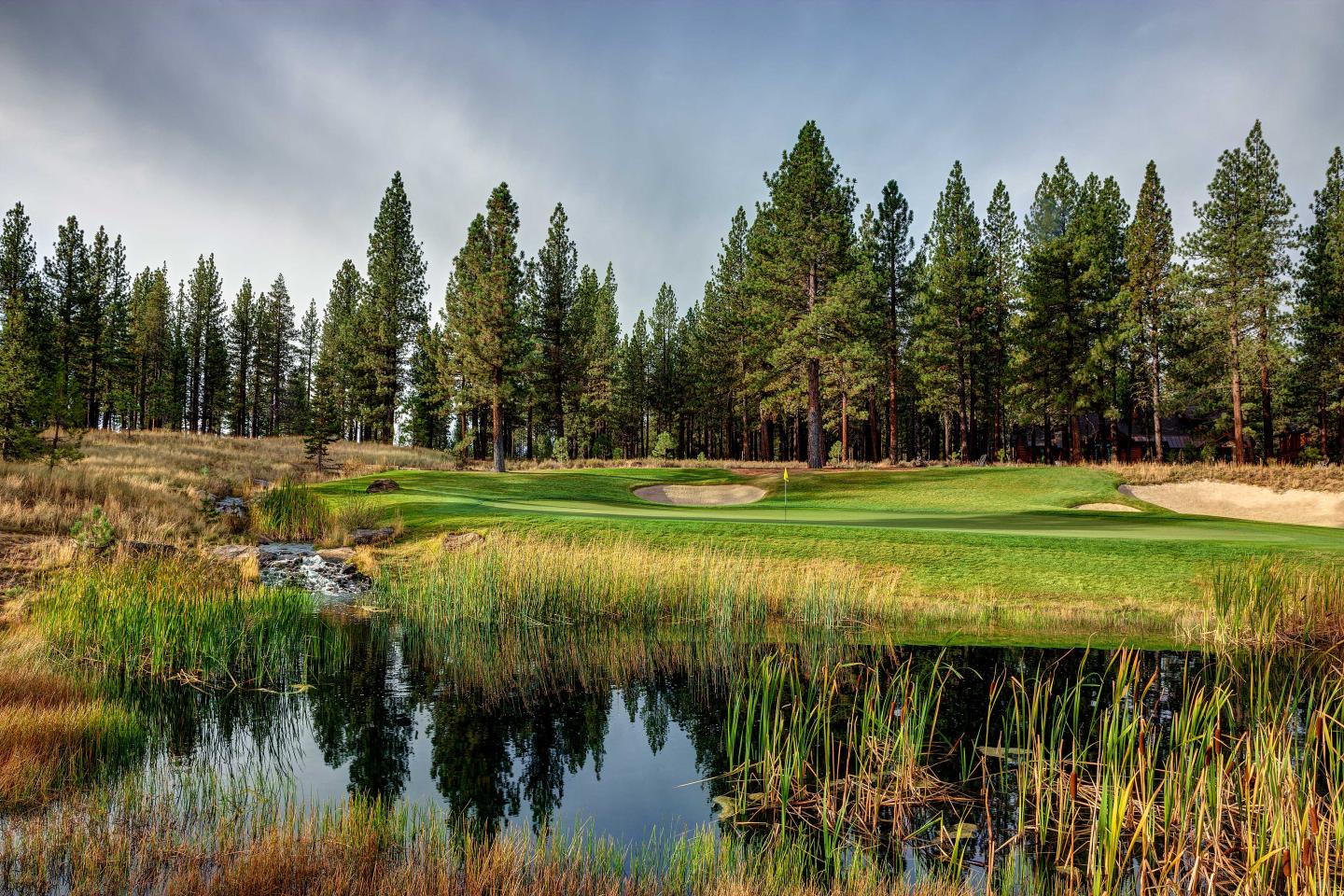 A serene golf course with a pond, surrounded by tall pine trees.