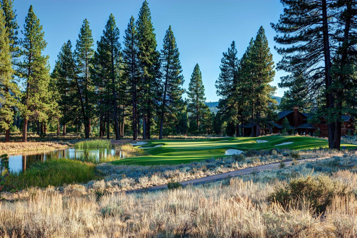 Forest clearing with a pond and wooden cabin under a clear blue sky.