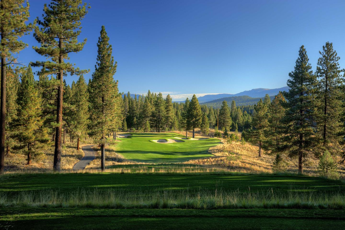 Golf course surrounded by pine trees under a clear blue sky.