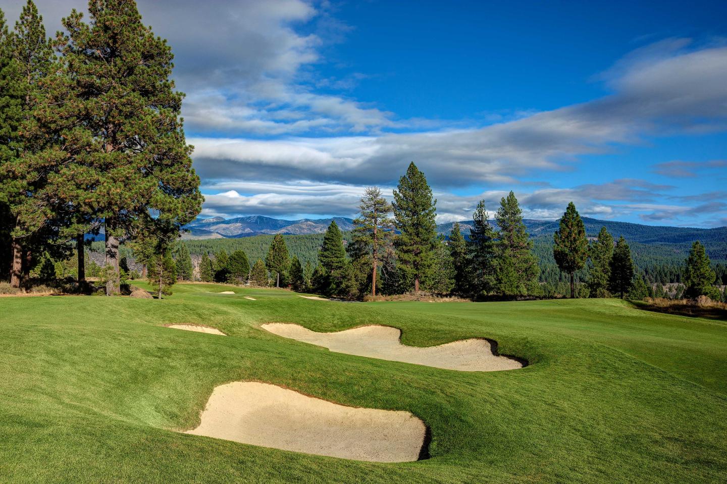 Green golf course with sand traps, surrounded by pine trees under a blue sky.