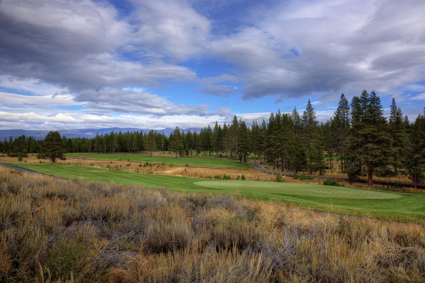 Grassy golf course with trees and cloudy sky in the background.