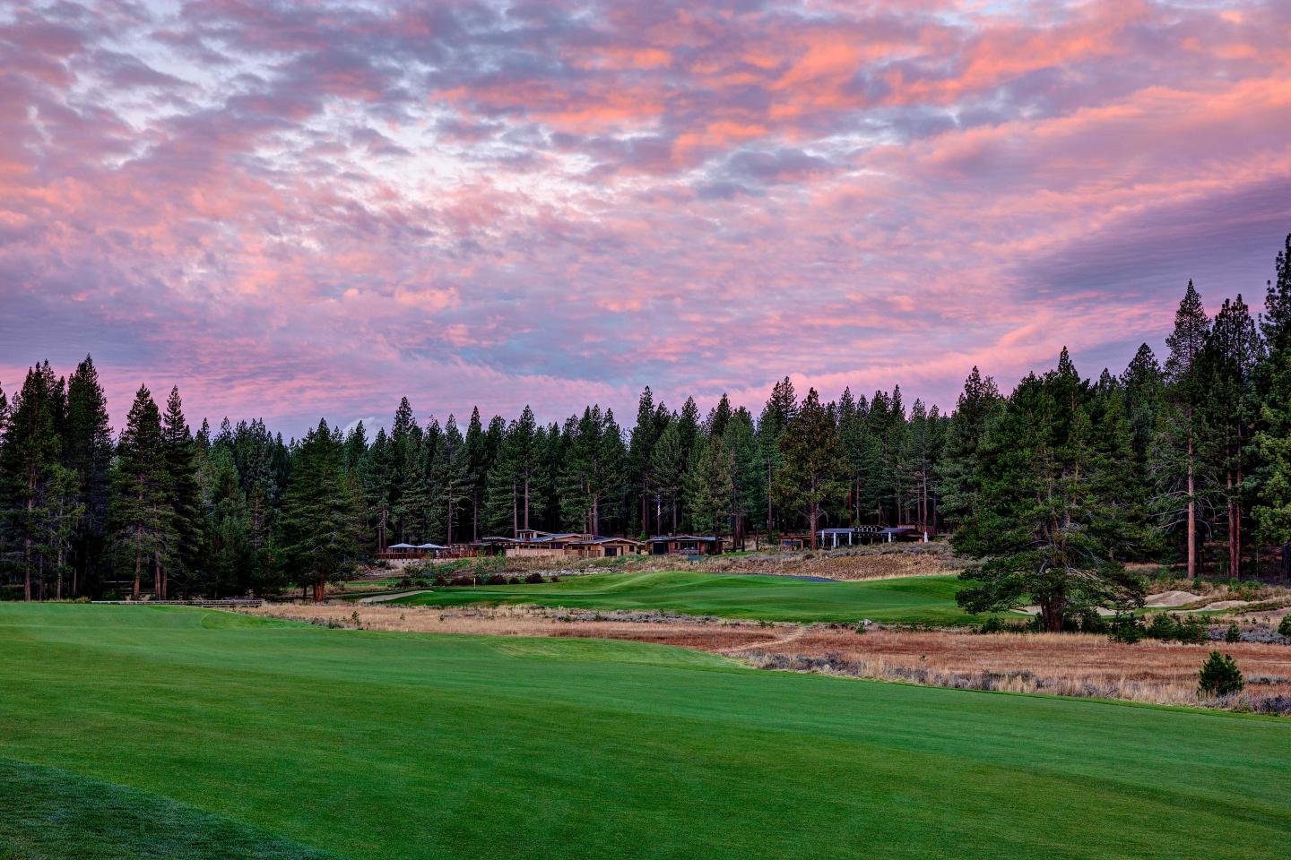 Golf course at sunset with vibrant pink and purple sky, surrounded by tall pine trees.