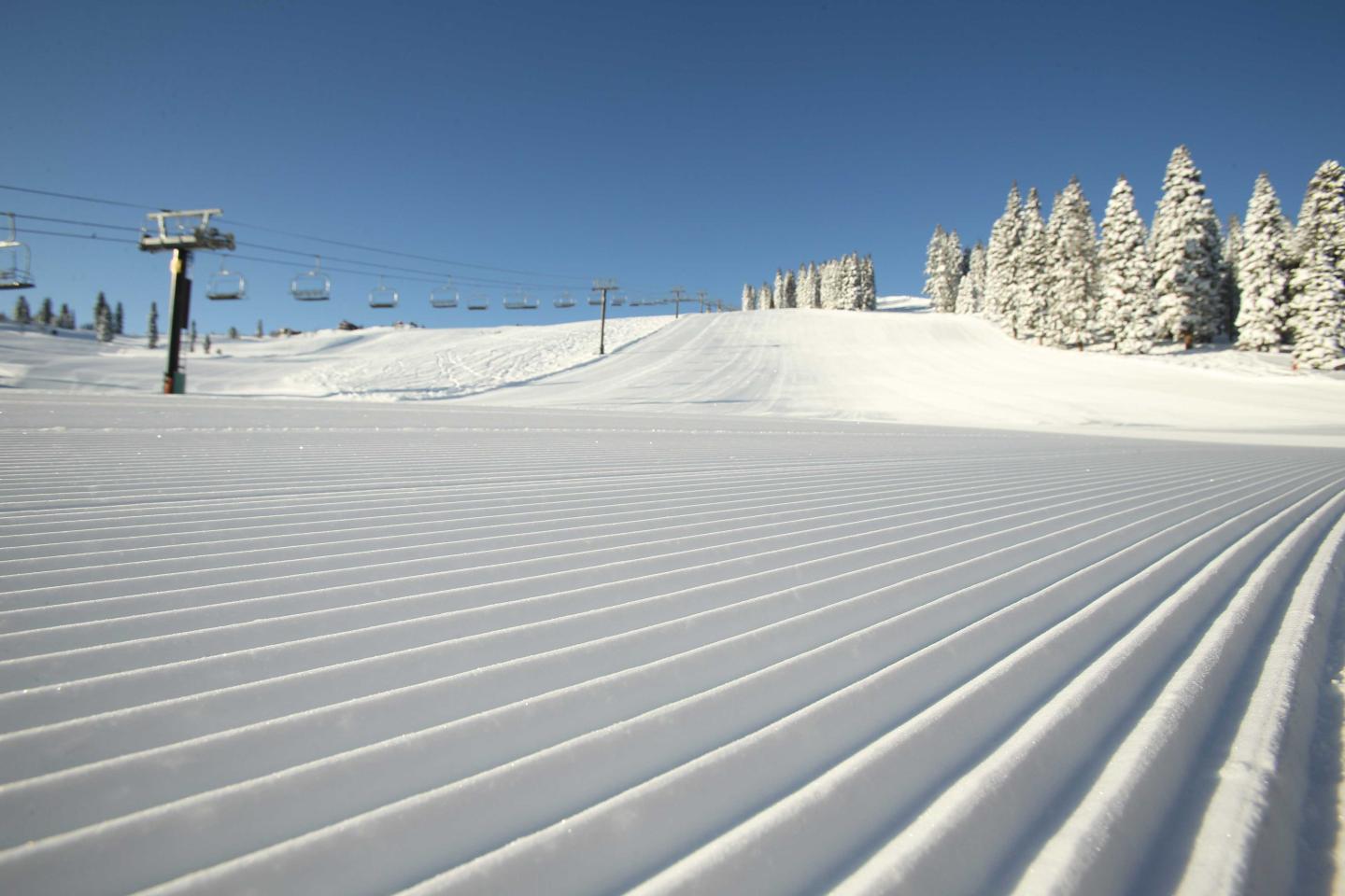 Groomed ski slope under clear blue sky with snow-covered trees.