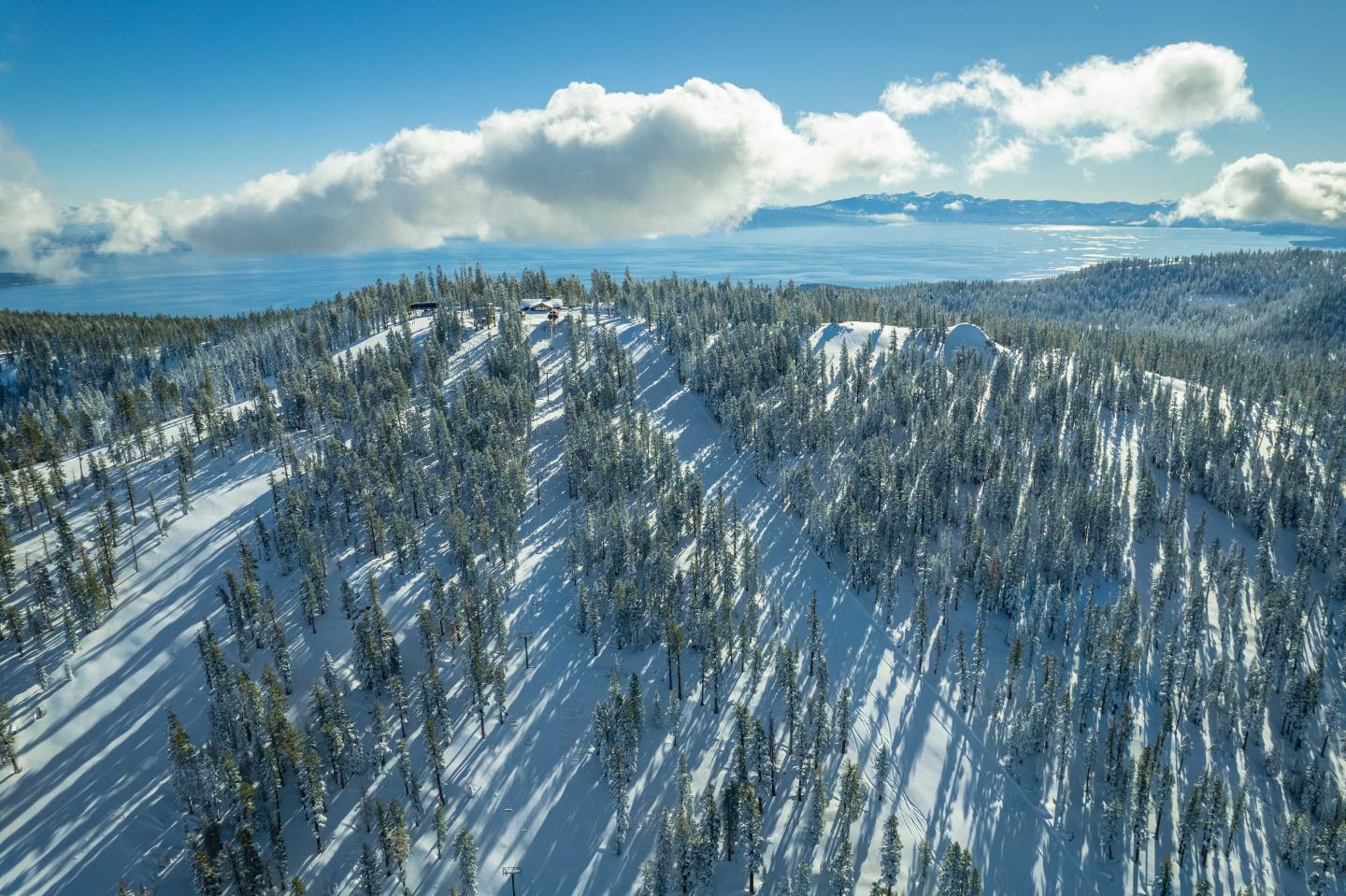 Snow-covered mountains with pine trees under a blue sky with clouds.