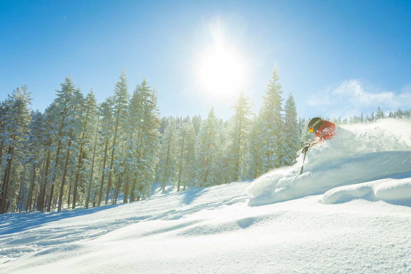 Skier descending snowy slope under bright sun with trees in background.