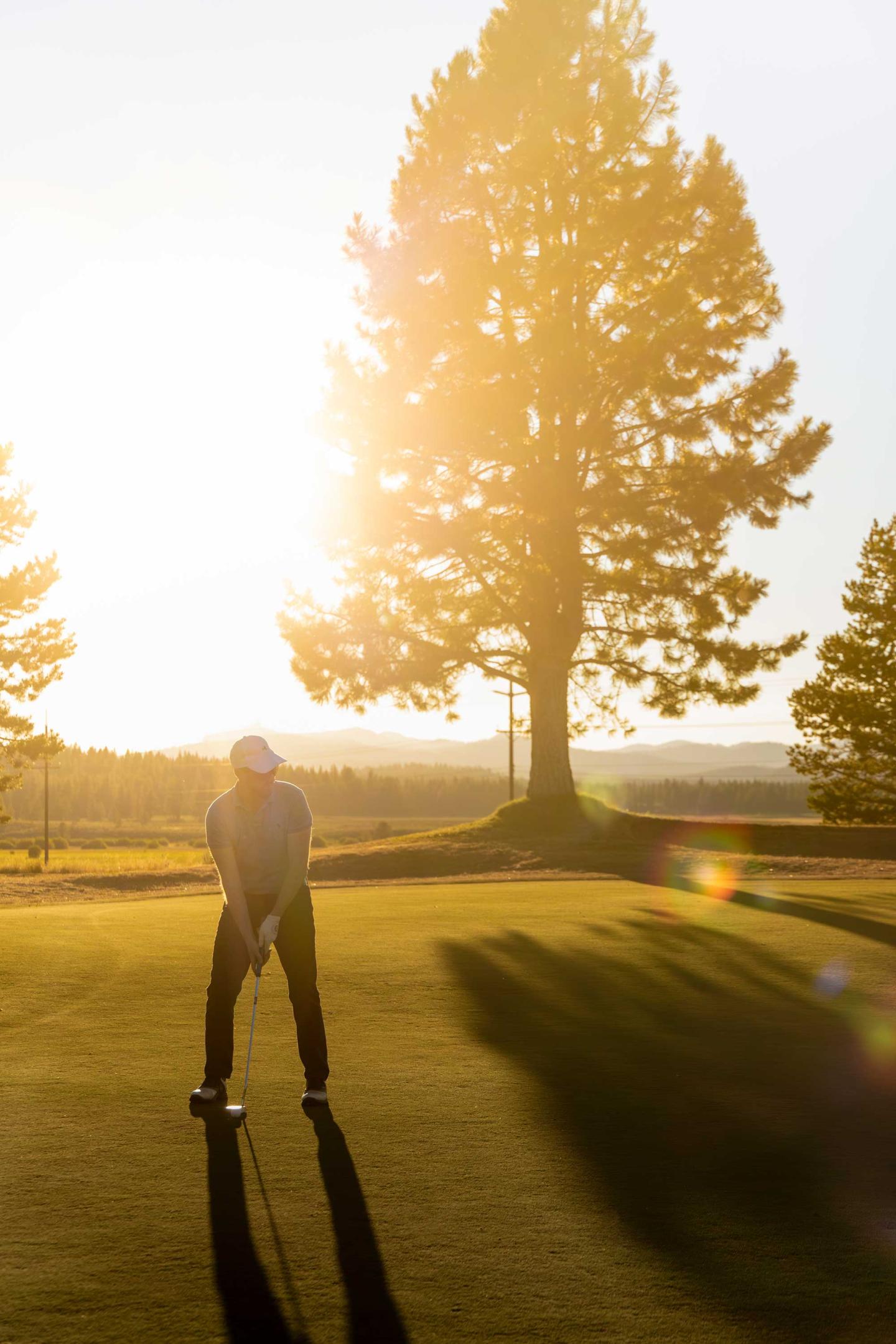 Golfer putting on a sunlit course with tall trees in the background.