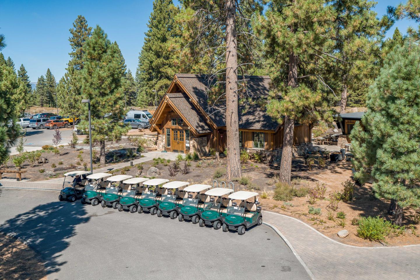 Golf carts parked near a cabin in a pine forest.