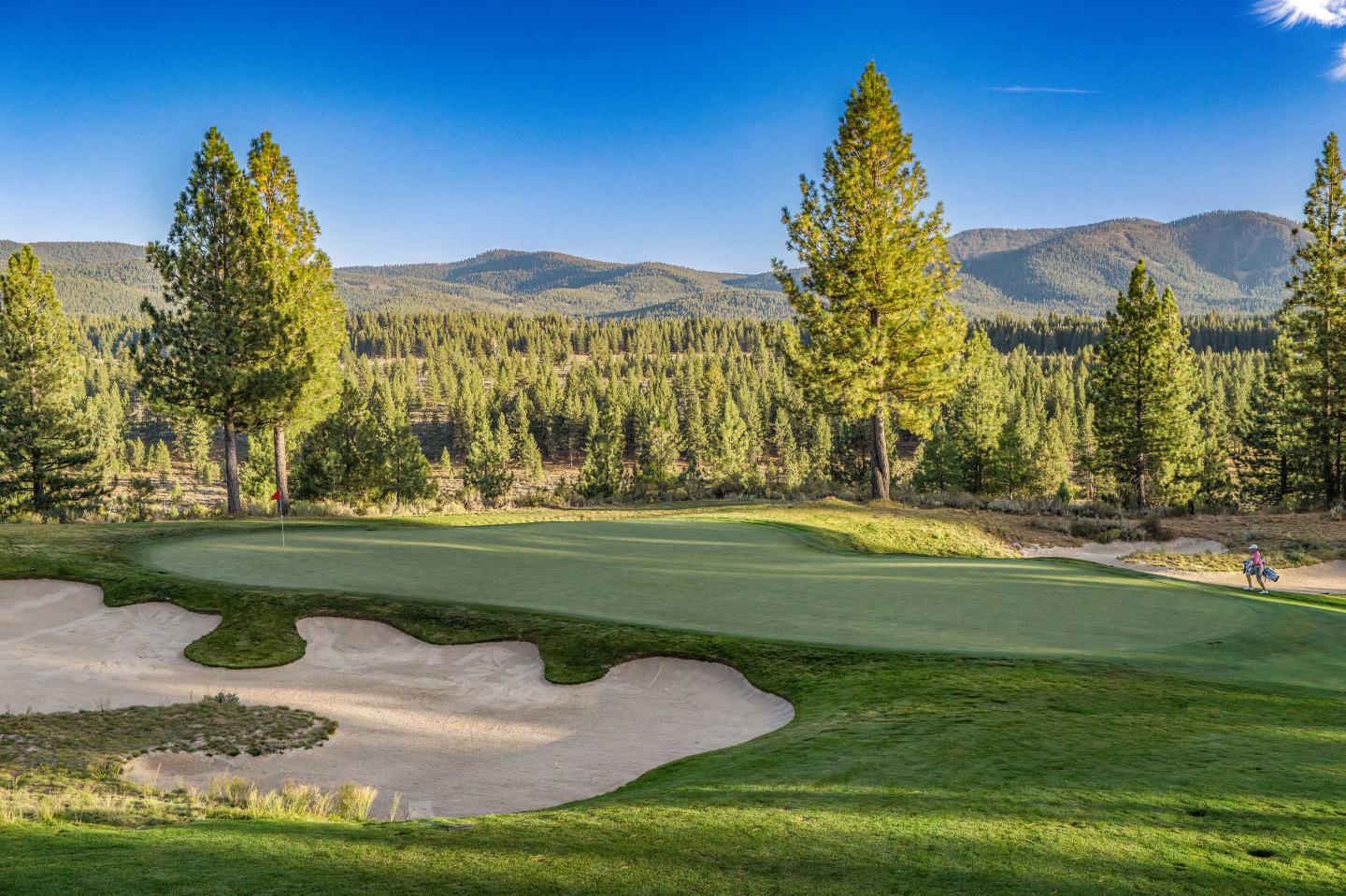 Golf course with sand traps, surrounded by pine trees and mountains under a clear blue sky.