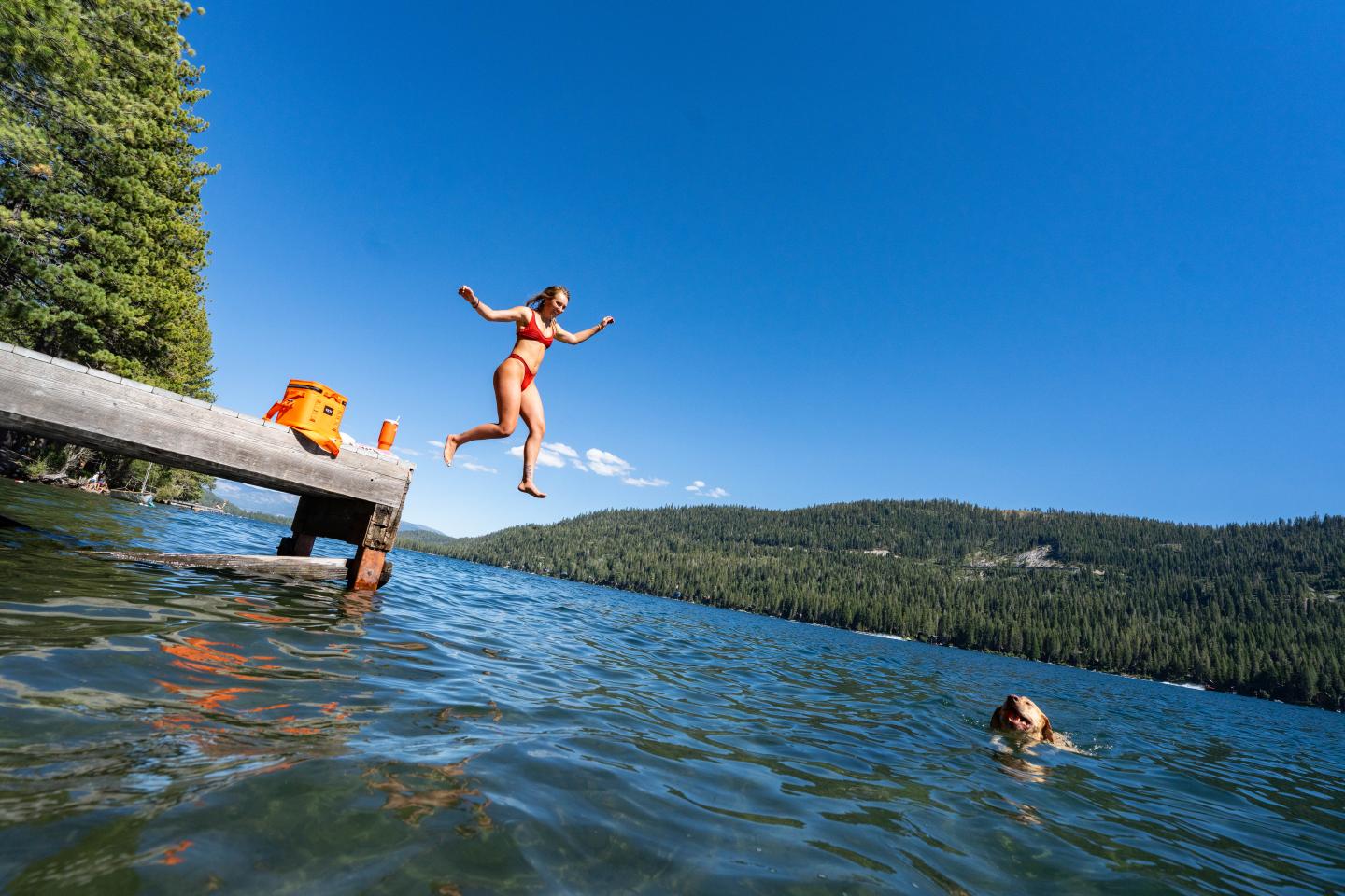 Donner Lake Docks Picnic and Jumping In