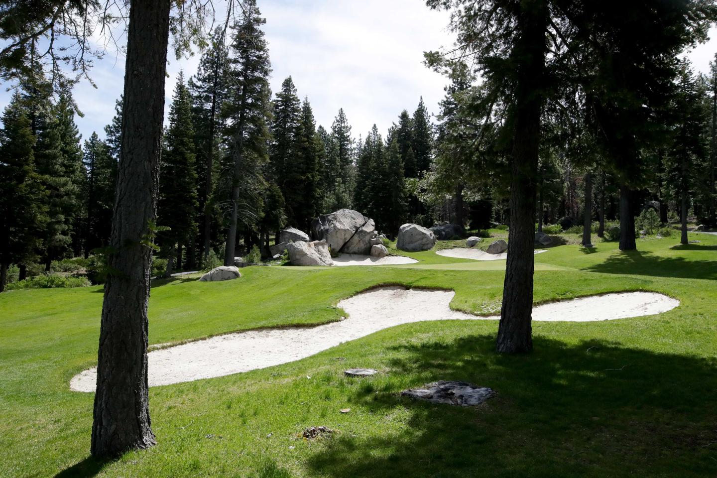 Golf course with sand trap surrounded by tall trees.