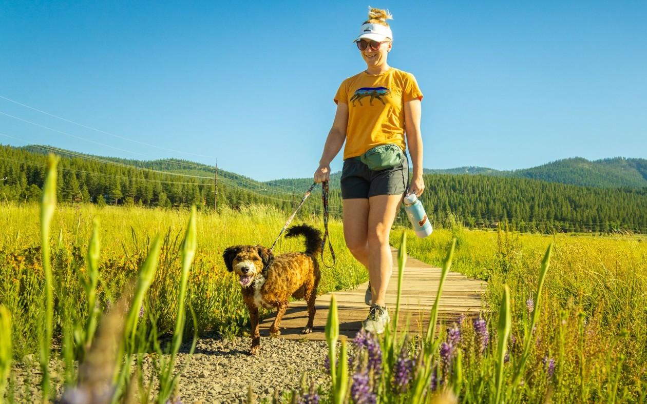 Woman walks dog on boardwalk through sunny meadow.