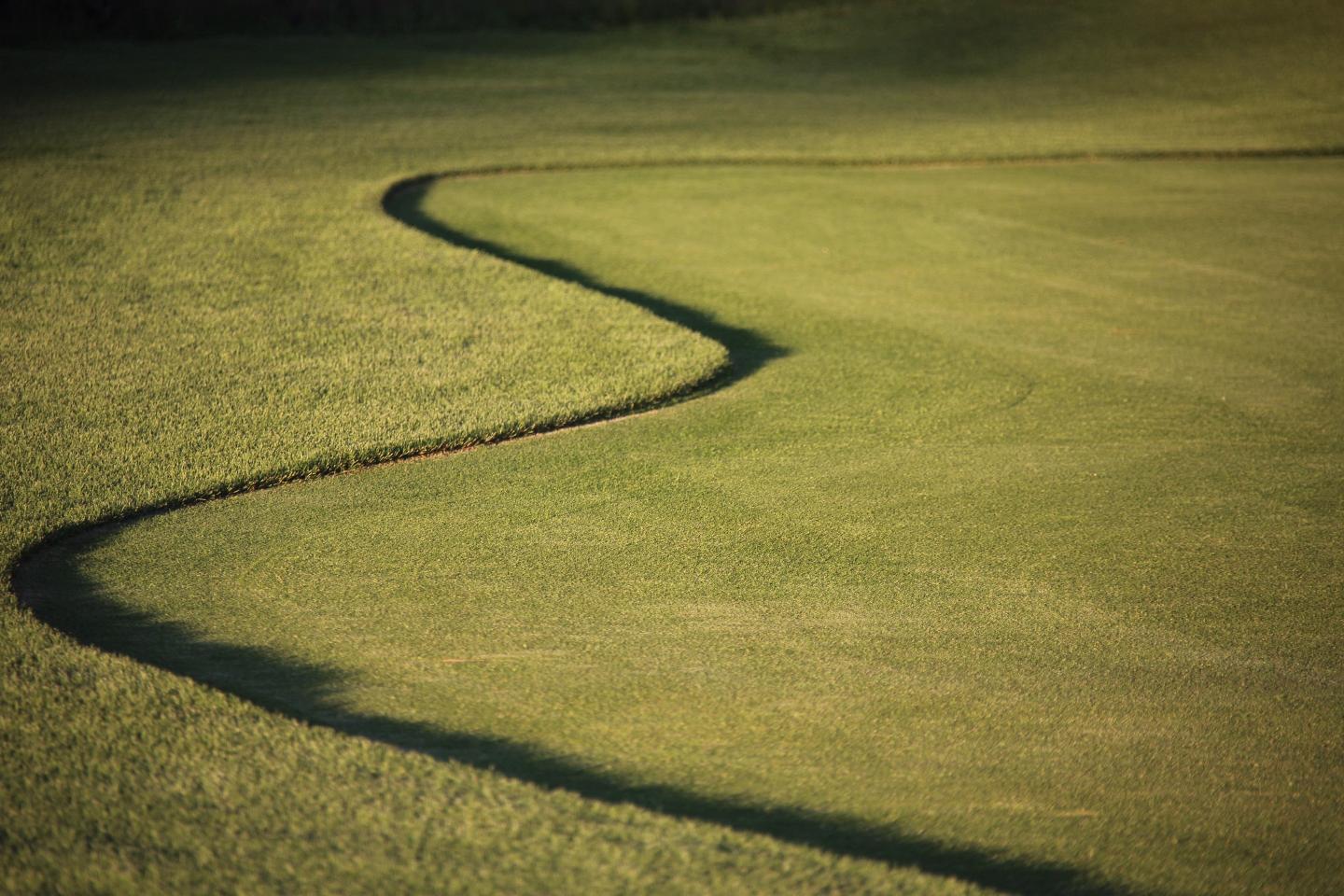 Curved line on a green golf course, casting a shadow.