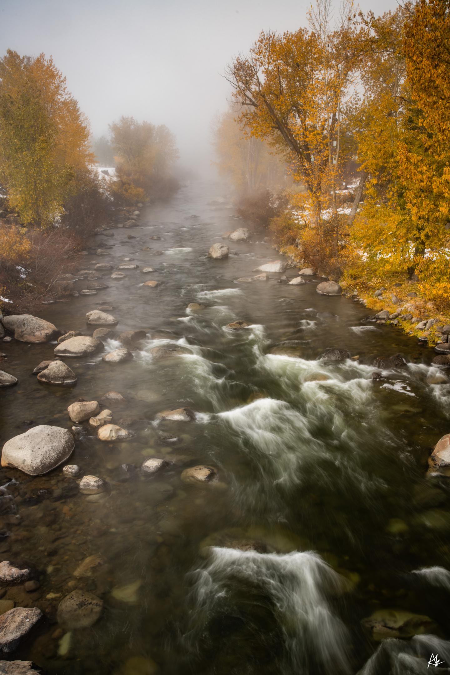 River flowing through autumn trees shrouded in mist.