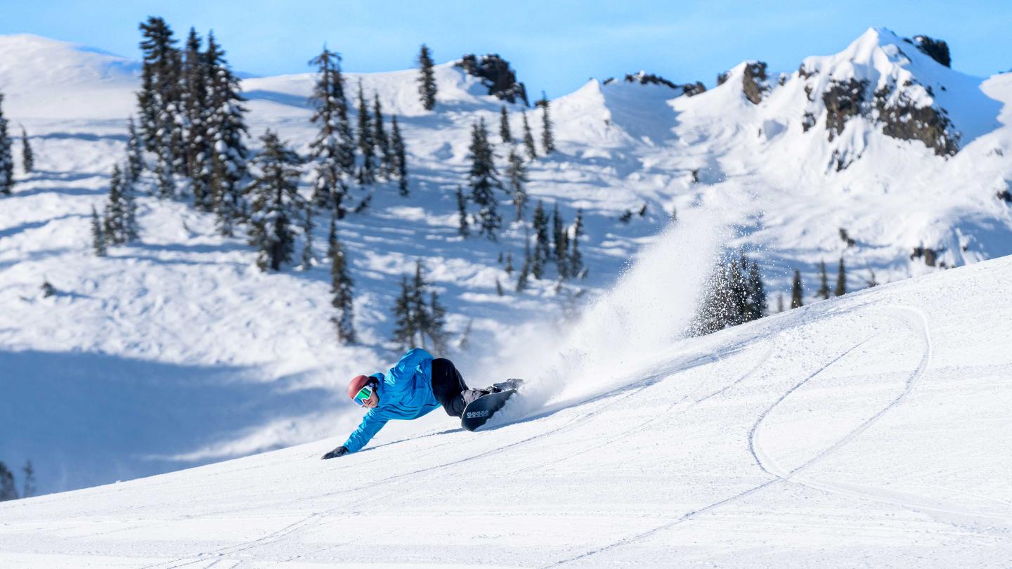 Snowboarder carving on a sunny mountain slope with snow-covered trees.
