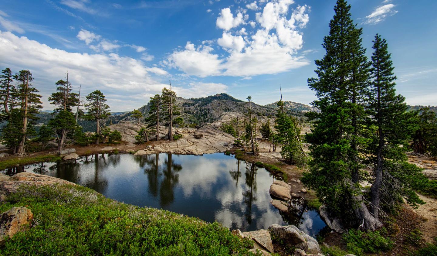 Mountain pond with pine trees and blue sky with clouds.