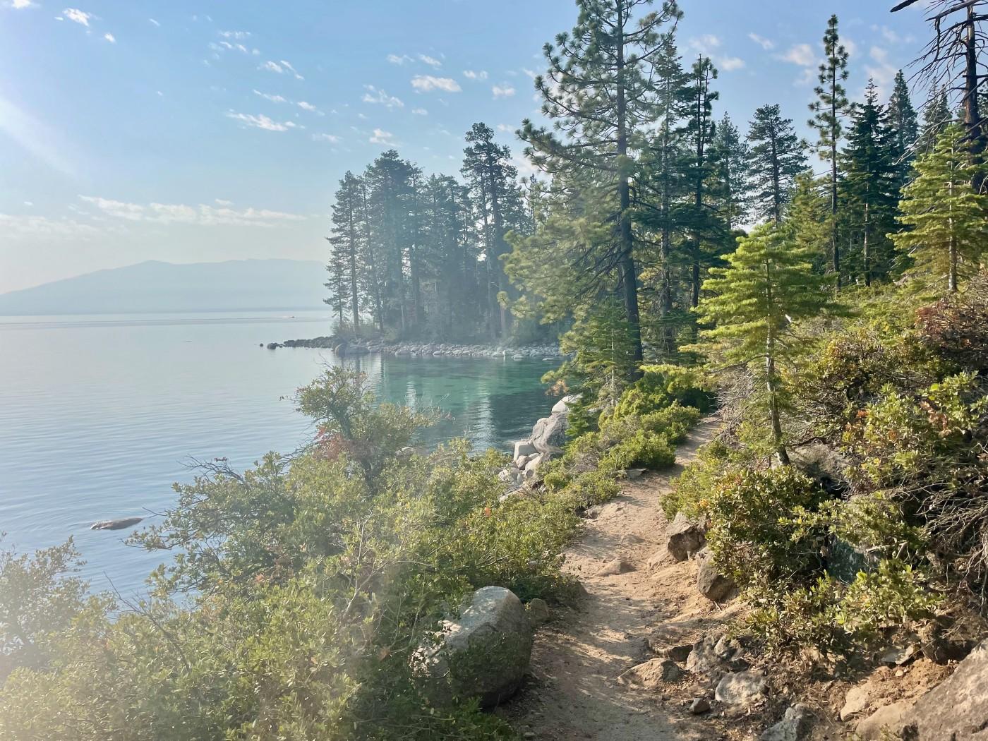 Forest trail beside a calm lake, surrounded by trees under a clear sky.