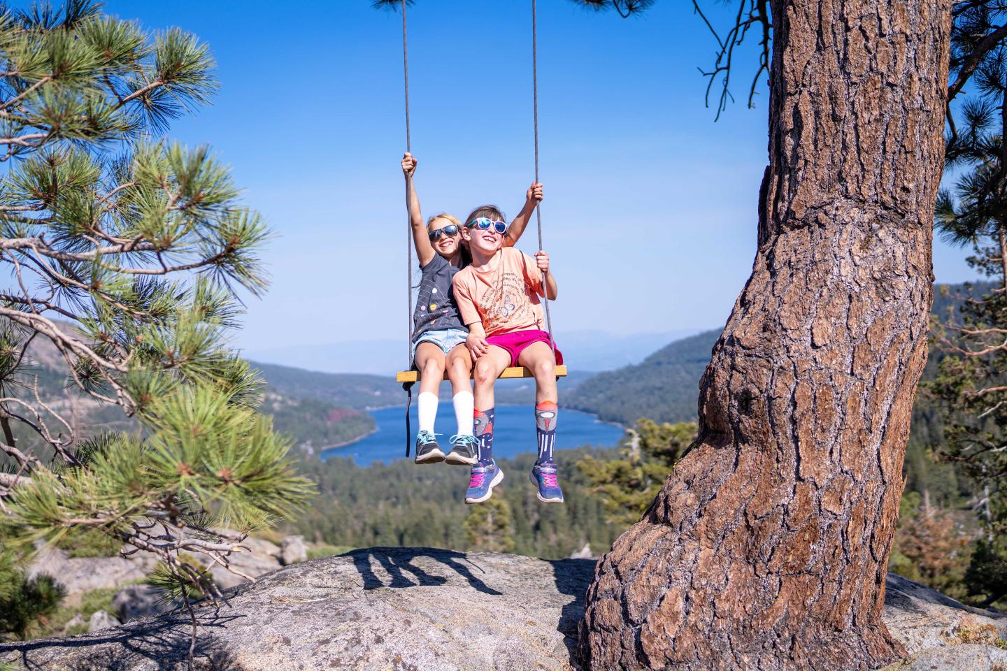 Two kids swinging from a tree with a scenic mountain and lake view.