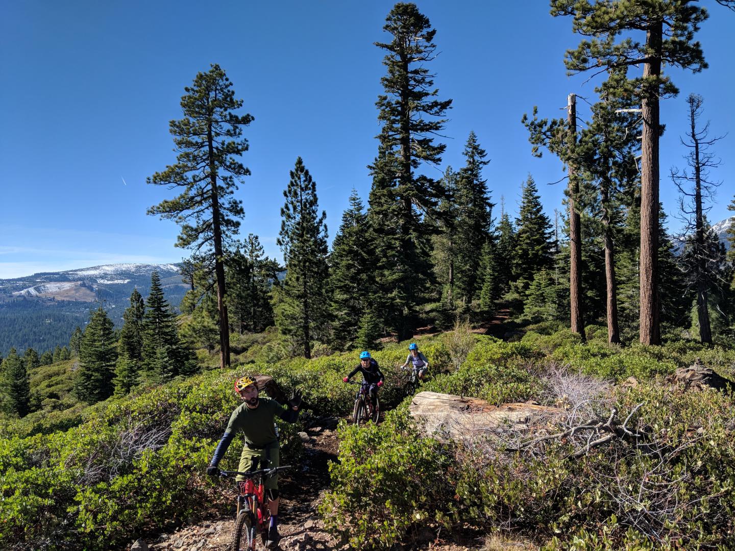 Cyclists ride through a forested mountain trail under a clear blue sky.