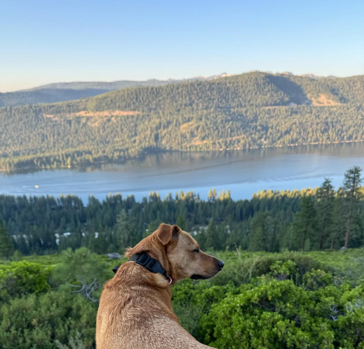 Donner Lake Rim Trail