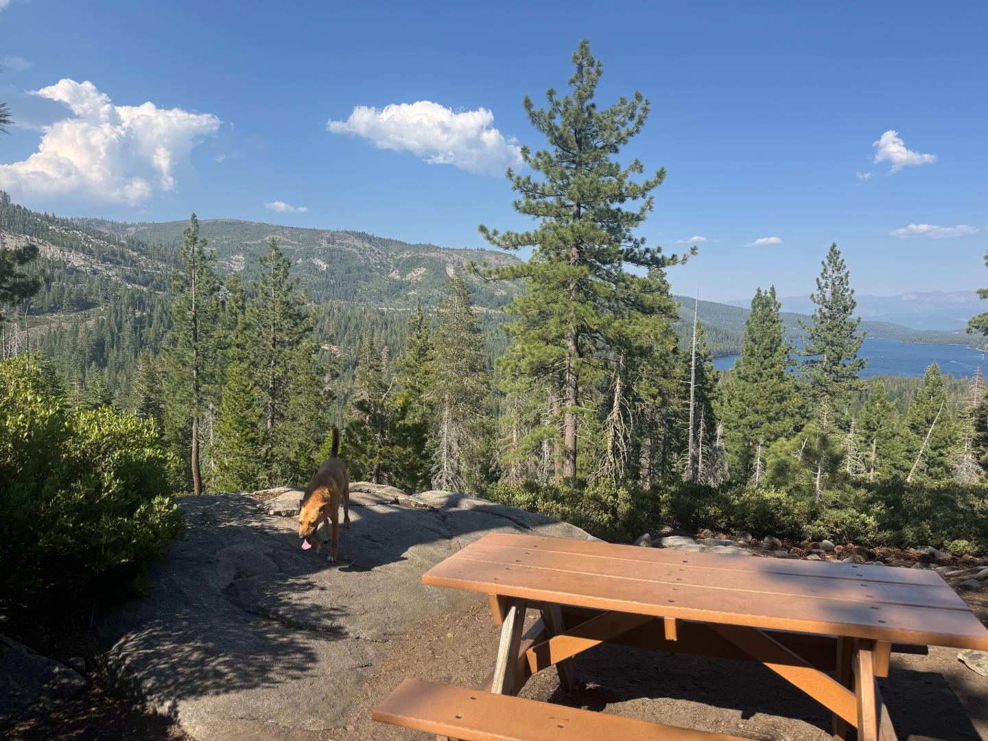 Donner Summit Canyon - Wooden picnic table overlooking a forested mountain view with a clear blue sky.