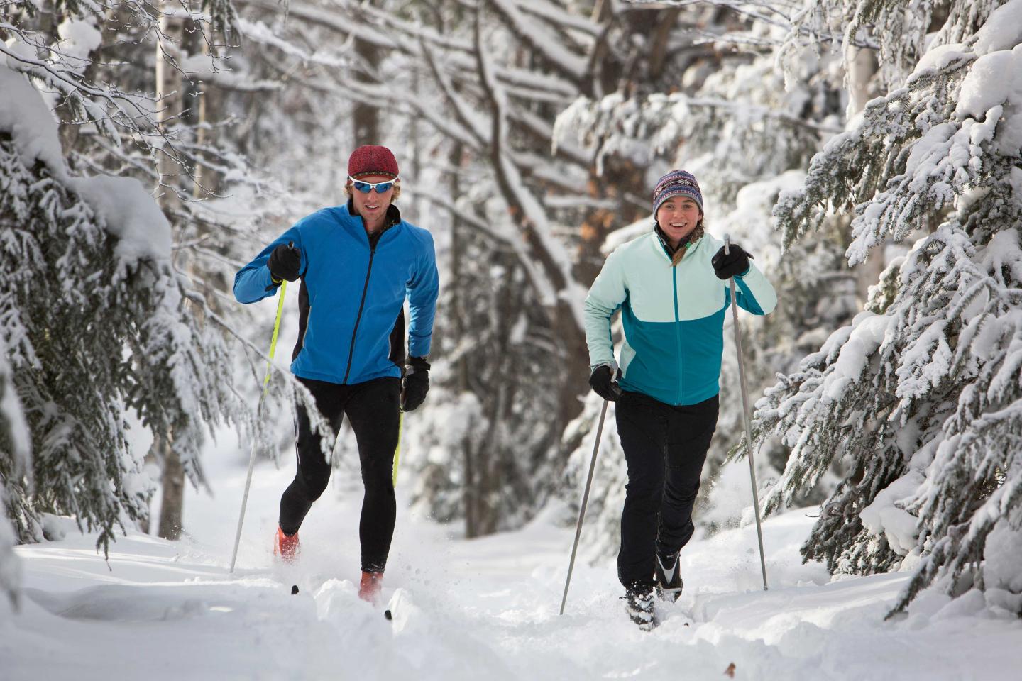 Two people cross-country skiing in a snowy forest.