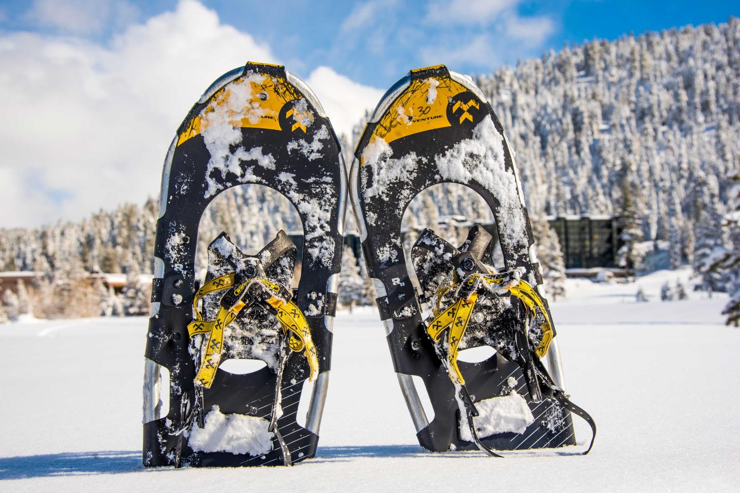 Two snowshoes on snow with snowy trees and blue sky in the background.