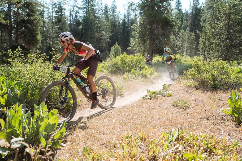 Mountain bikers riding on a forest trail with sunlight filtering through trees.