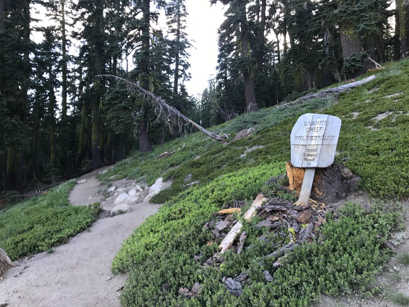 Trail sign on a forest path surrounded by trees and greenery.