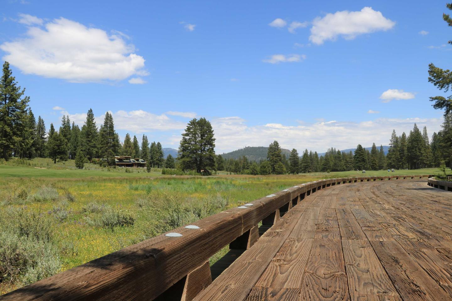 A wooden path curves through a green meadow with cloudy blue sky.