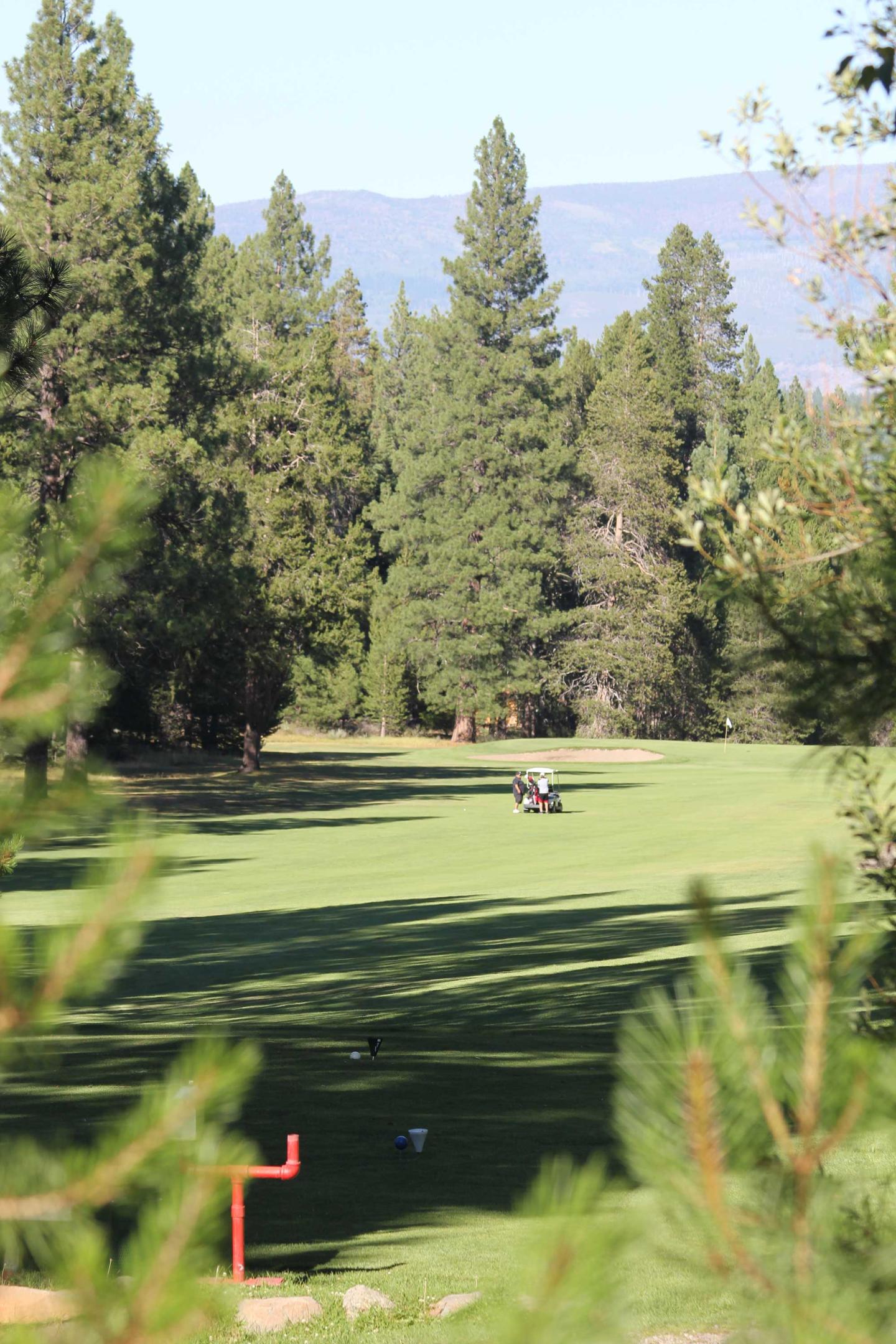 Golf course surrounded by tall trees and distant mountains.