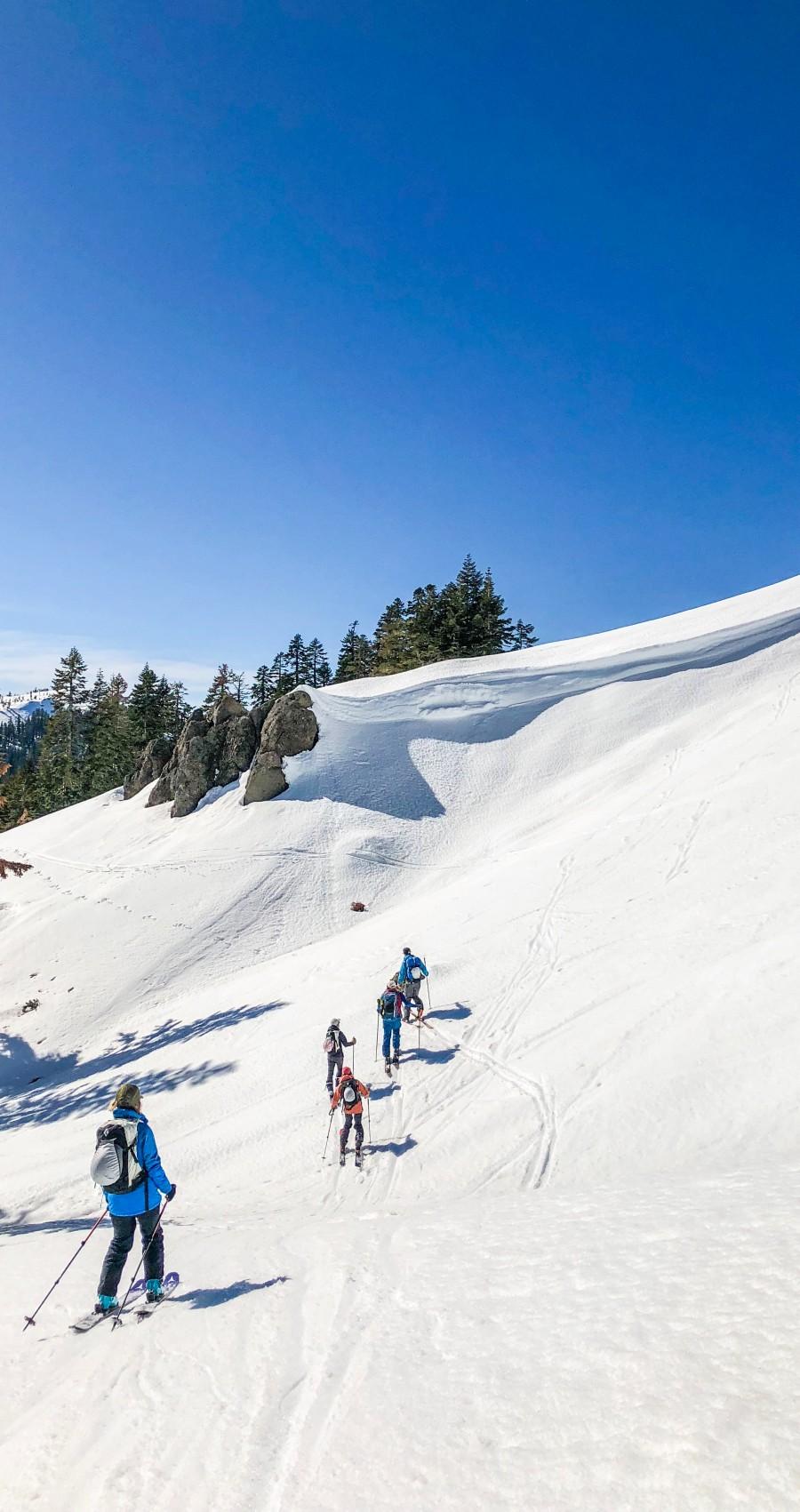 International Alpine Guides