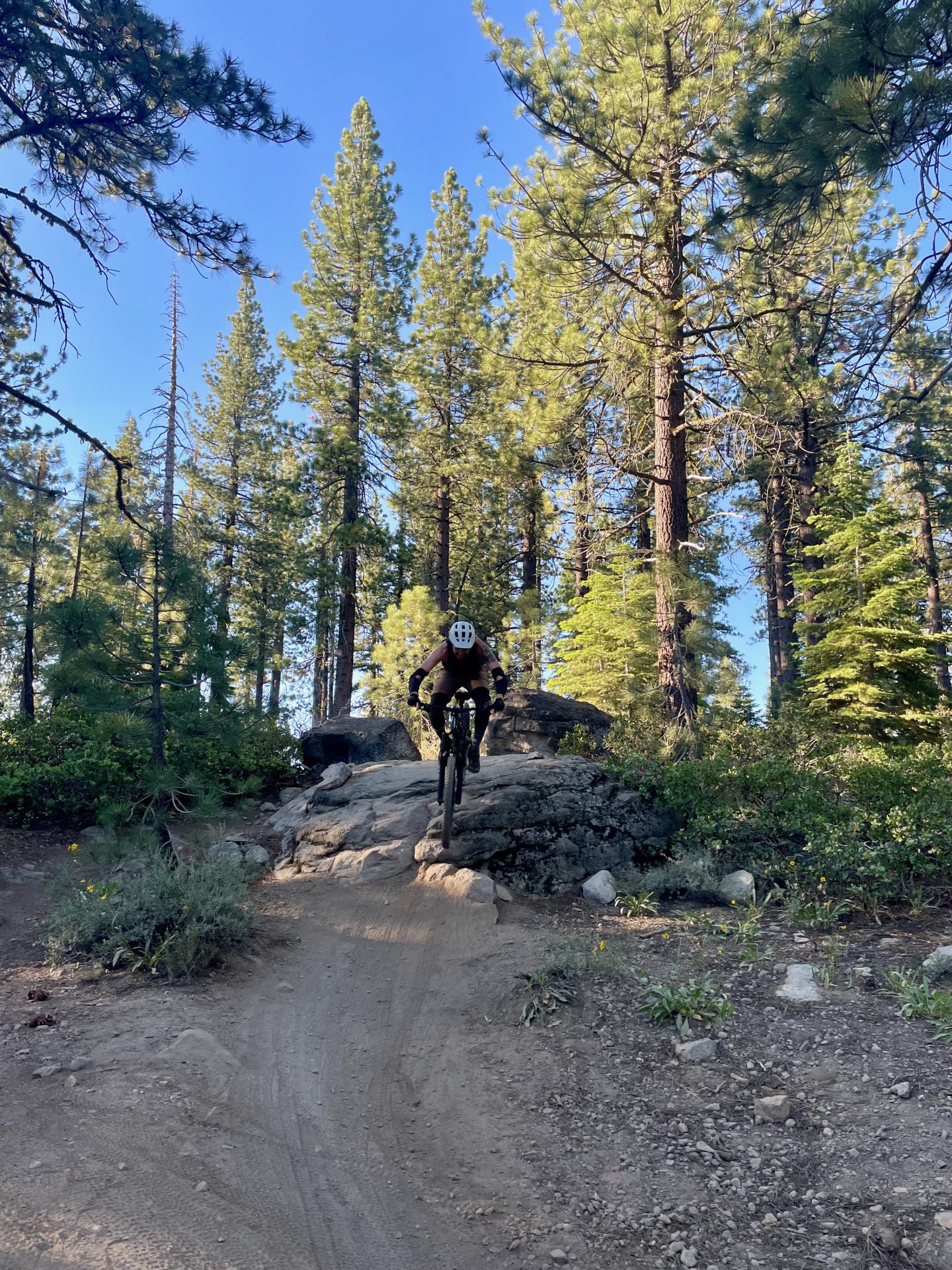 Jackass Cyclist riding on a dirt trail through a sunlit forest.