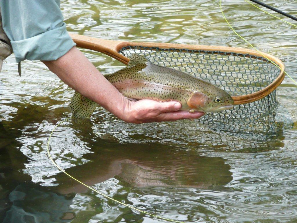 John Roberts Fly Fishing