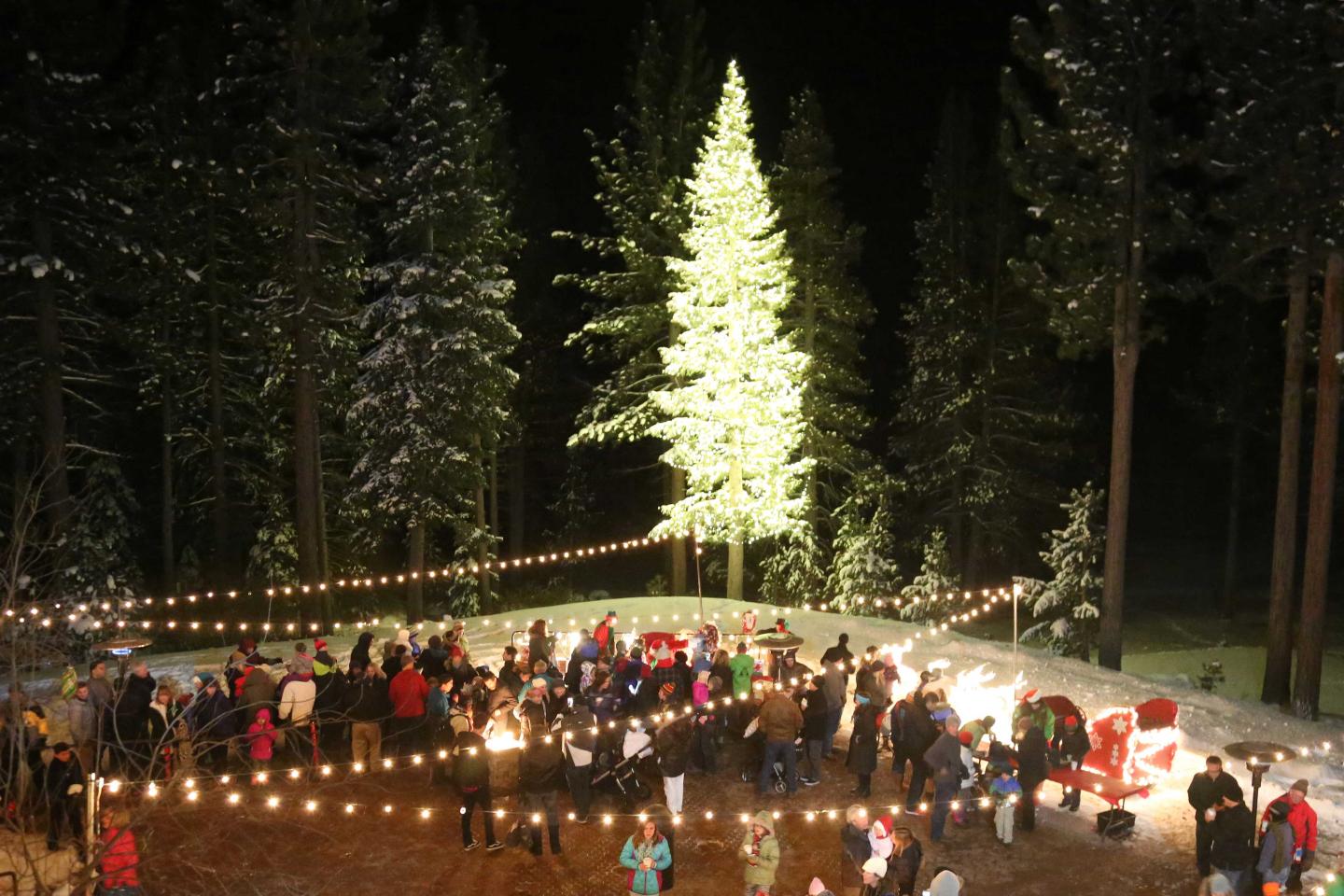 Festive crowd around a lit Christmas tree in a snowy forest at night.