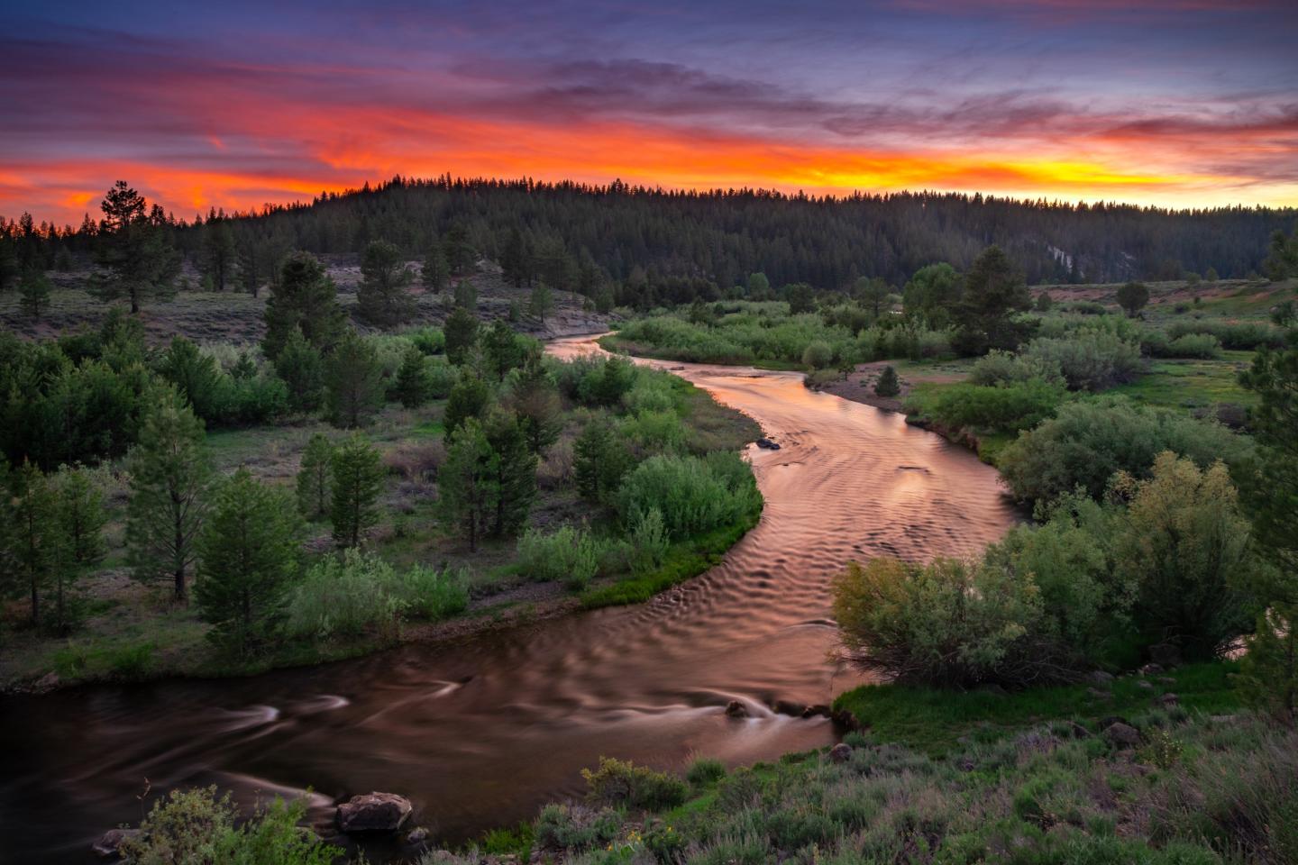 River winding through a forest at sunset, with a vibrant orange and purple sky.