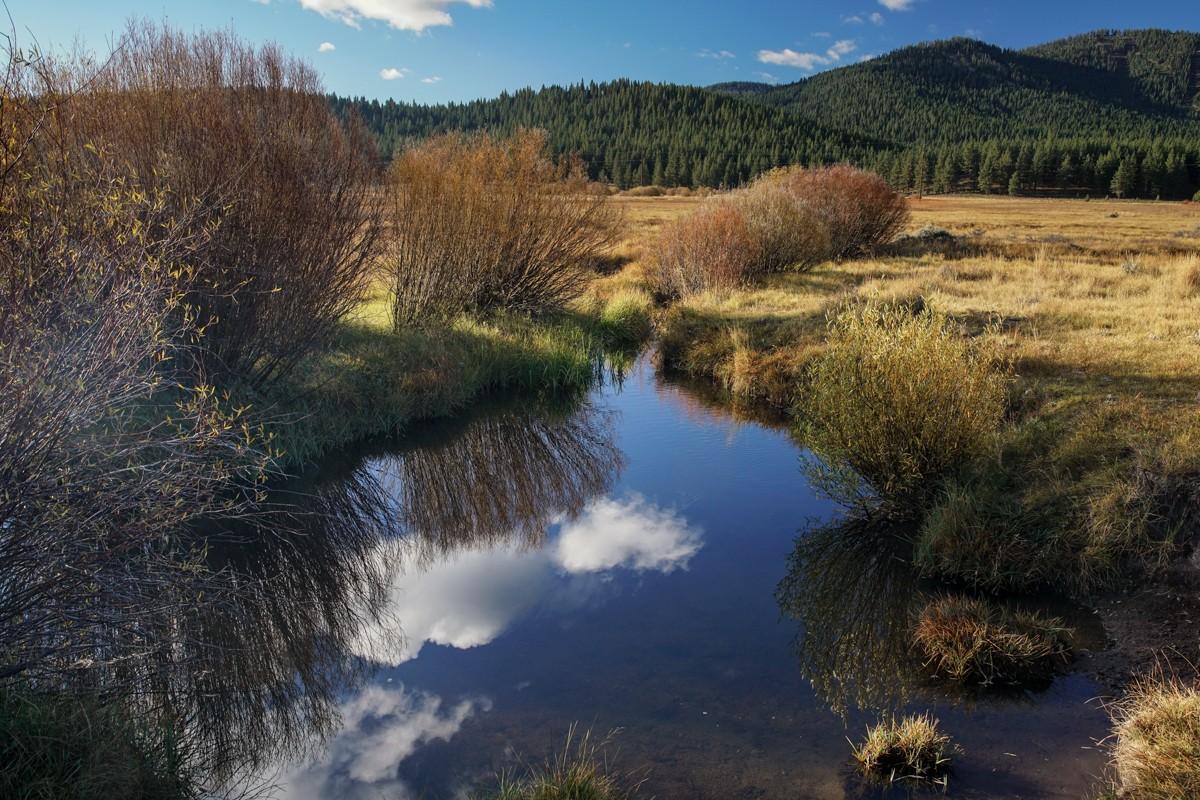 Martis Creek Wildlife Area