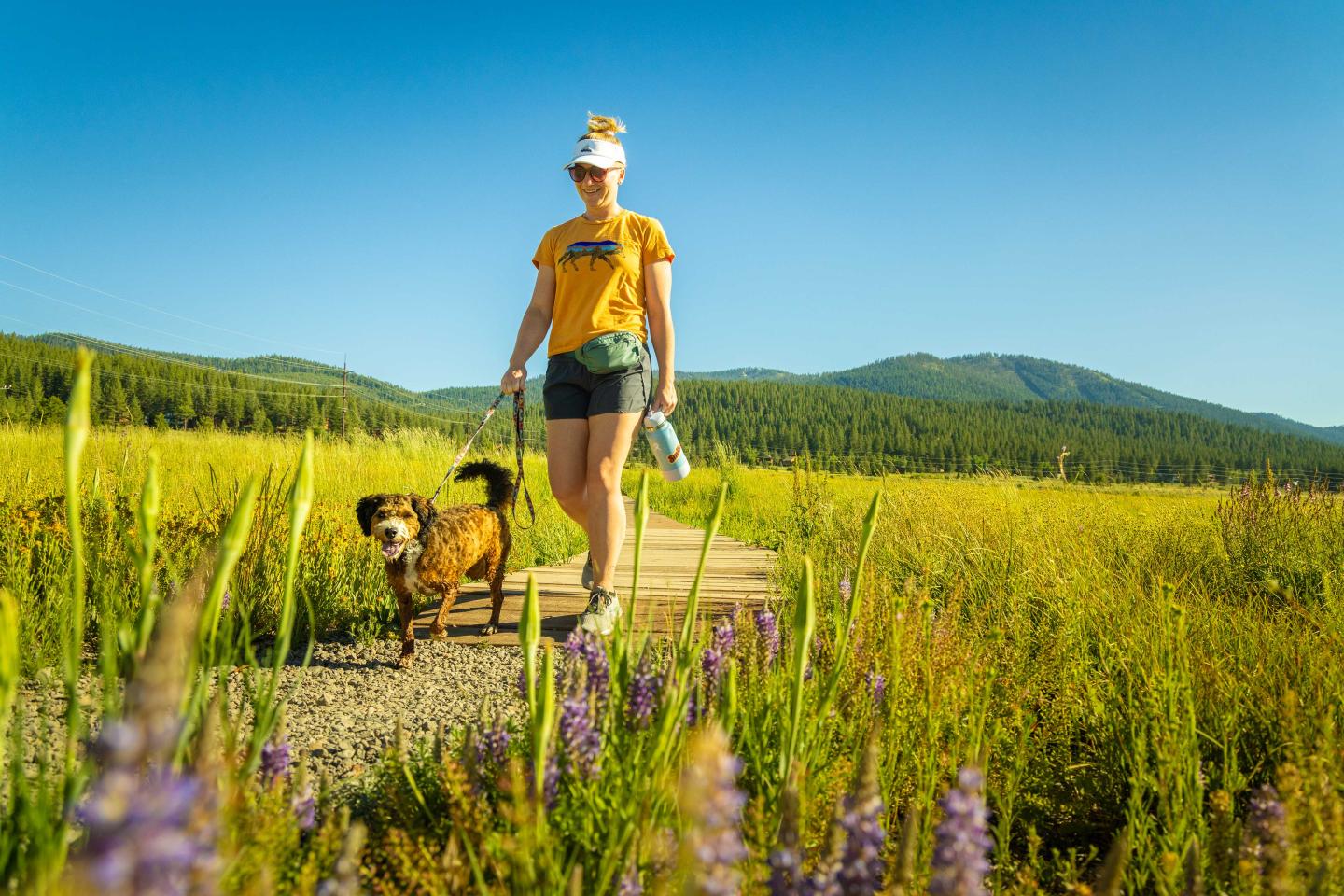 Woman walking a dog on a trail through a sunny meadow.