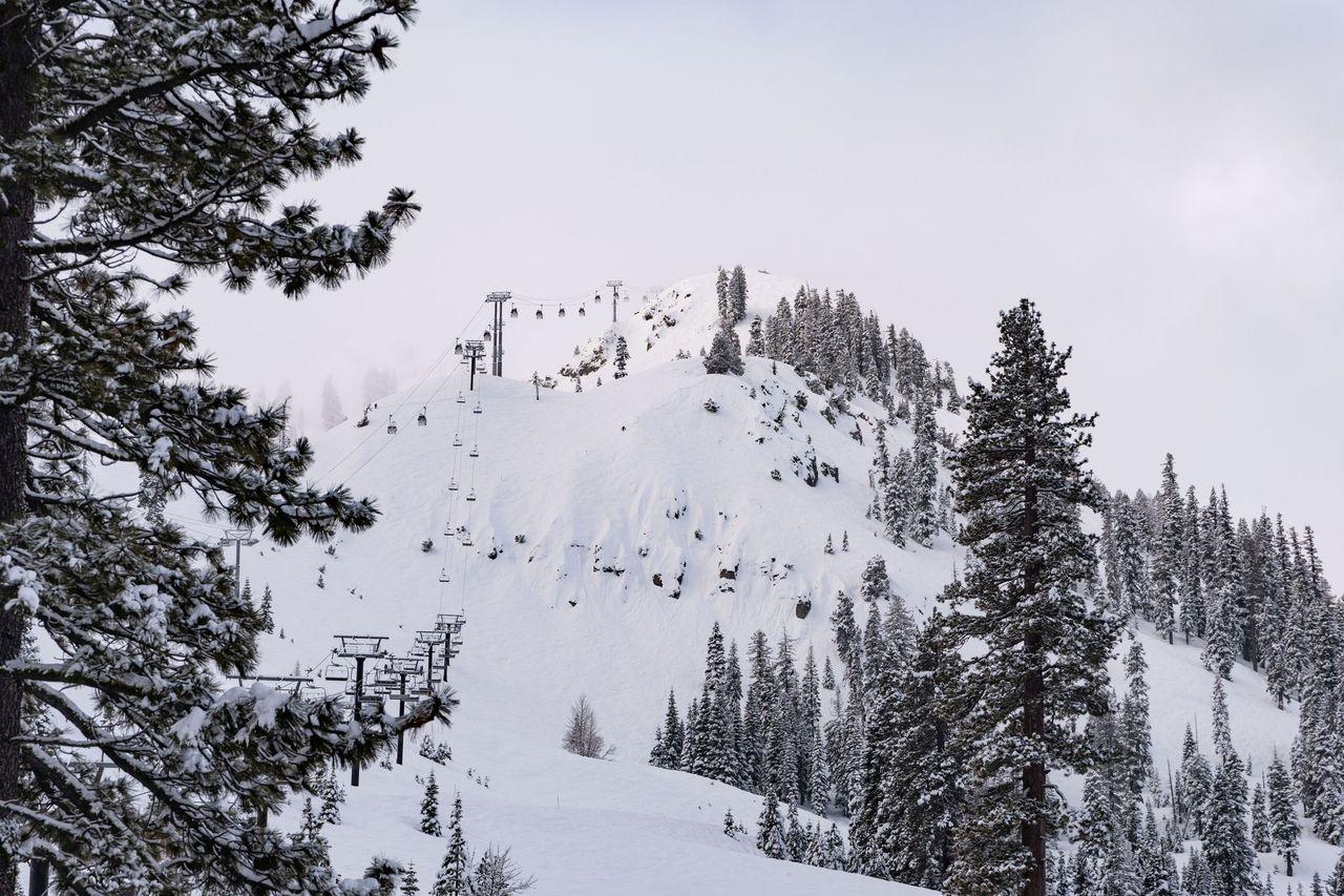 Snow-covered ski slope with pine trees and cloudy sky.
