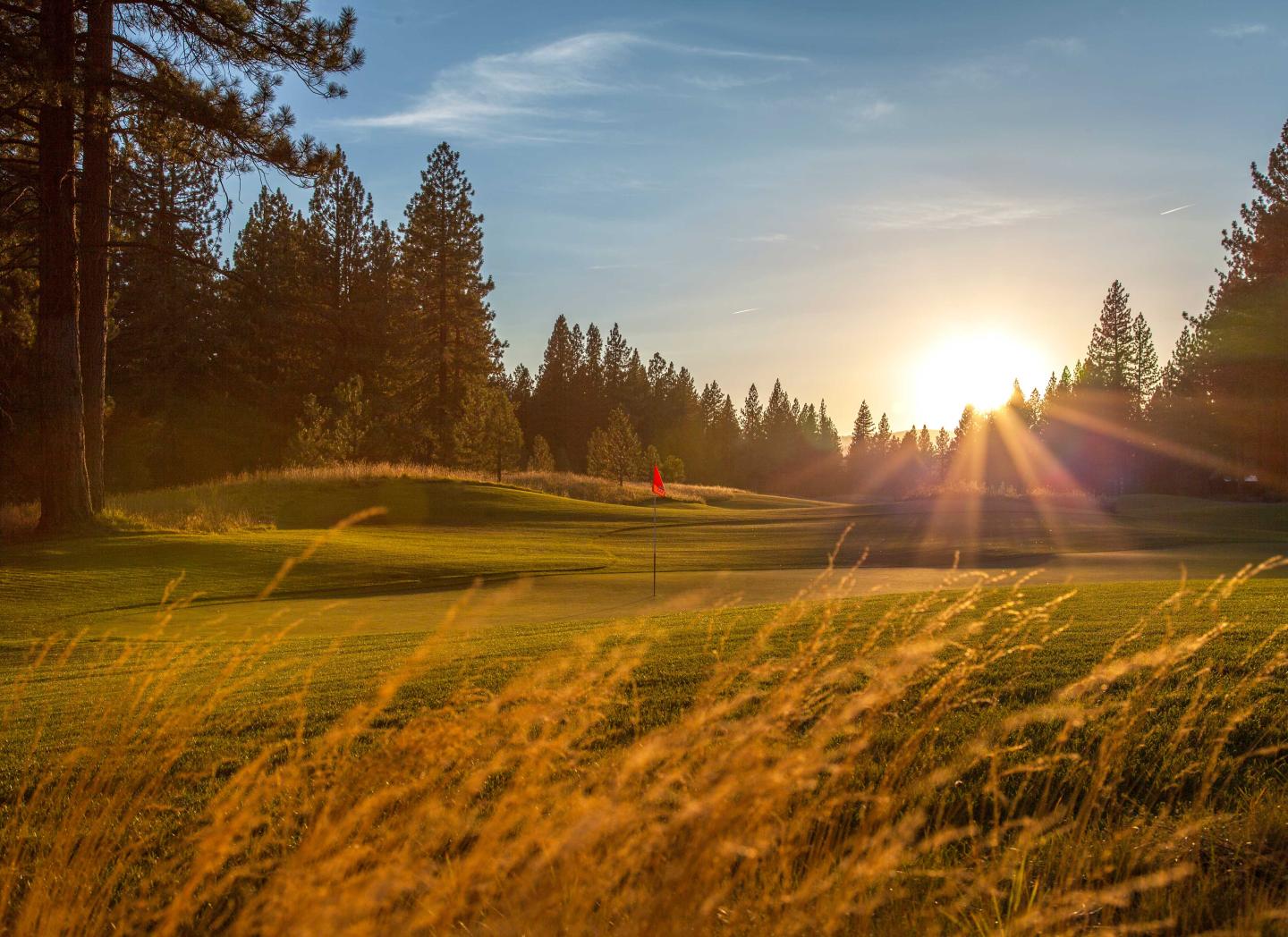 Sunset over a grassy golf course with trees and a flag in the distance.