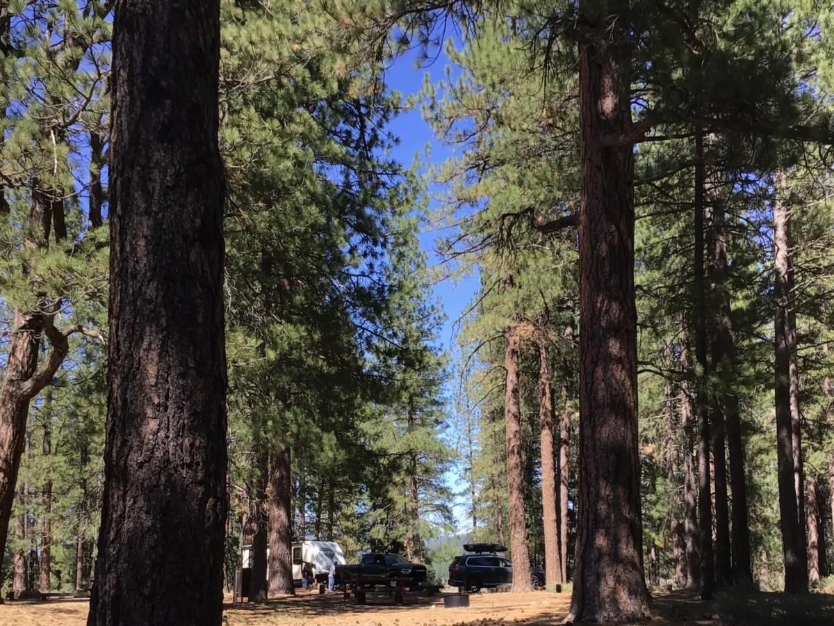 Prosser Family Campground