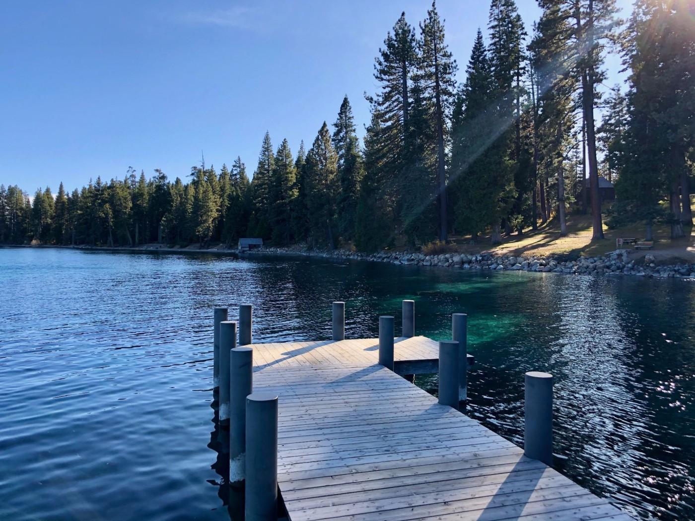 Wooden pier extending over a calm lake, surrounded by tall pine trees.