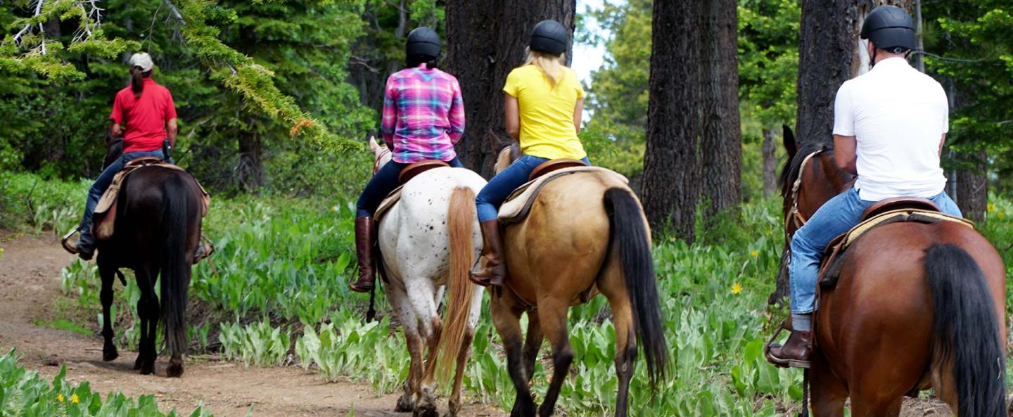 Tahoe Donner Equestrian Center