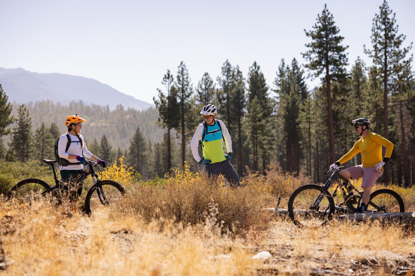 Cyclists pause on a trail in a forested mountain area under a clear sky