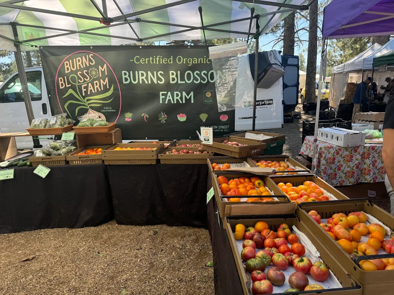 Truckee Farmers market stall with assorted produce and a Burns Blossom Farm sign.